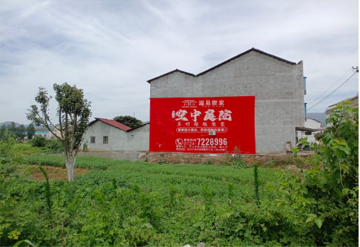 维西做墙体广告的意义