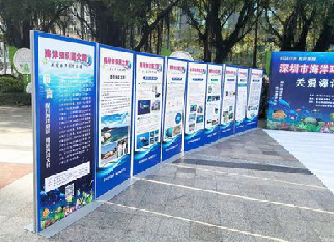 维西KT板的种类和知识。